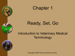 Chapter 1 Ready, Set, Go Introduction to Veterinary Medical Terminology  Copyright © 2006 Thomson Delmar Learning.