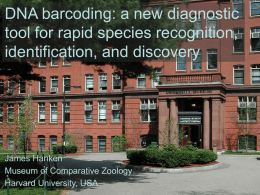 DNA barcoding: a new diagnostic tool for rapid species recognition, identification, and discovery  James Hanken Museum of Comparative Zoology Harvard University, USA.