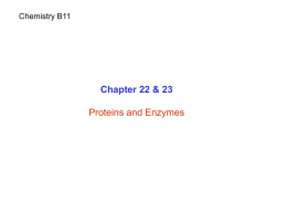 Chemistry B11  Chapter 22 & 23 Proteins and Enzymes Function of proteins.