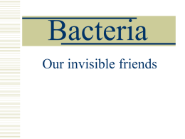 Bacteria Our invisible friends Bacteria are prokaryotes Pro – before Karyon – nucleus The simplest forms of life are prokaryotes. Earth’s first cells were prokaryotes.