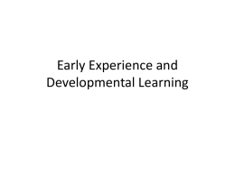 Early Experience and Developmental Learning Overview • Increasing differentiation of areas of cortex • Infant is born during height of brain development • Tertiary sulci develop from 1 month.
