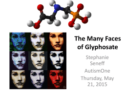 The Many Faces of Glyphosate Stephanie Seneff AutismOne Thursday, May 21, 2015 Outline • • • • • • • •  Introduction Autism and Mitochondrial Impairment Glyphosate and Folic Acid Glyphosate and Vaccines Impaired Thyroid Function Low Manganese in Autism Endocrine.
