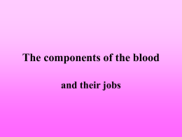 The components of the blood and their jobs What is blood made up of? • • • • • • • • •  Red blood cells White blood cells Platelets Plasma Breakdown products of digestion,