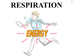 RESPIRATION THE CONCEPT OF ‘RESPIRATION’ IS CENTRAL TO ALL LIVING PROCESSES  It is worth while studying this presentation thoroughly because it is essential.