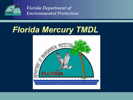 Florida Department of Environmental Protection  Florida Mercury TMDL FloridaDepartment Department of of Florida EnvironmentalProtection Protection Environmental  Florida’s TMDL Program and the TMDL Development Process Jan Mandrup-Poulsen, Administrator Watershed Evaluation and TMDL Section Phone.