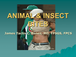 ANIMAL & INSECT BITES James Taclin C. Banez, MD, FPSGS, FPCS RABIES    In any mammalian animal Rhabdovirus: 1.