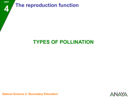 UNIT  The reproduction function  TYPES OF POLLINATION  Natural Science 2. Secondary Education UNIT  Types of pollination  POLLINATION  can be  ANEMOGAMOUS  Click on each box to find out more Natural Science.