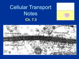 Cellular Transport Notes Ch. 7.3 About Cell Membranes 1.All cells have a cell membrane 2.Functions: a.Controls what enters and exits the cell to maintain an internal balance called homeostasis b.Provides protection.