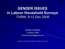 GENDER ISSUES in Labour Household Surveys TURIN, 9-12 Dec.2008  AHMAD HUSSEIN CONSULTANT ahmad.hussein@gmail.com  BASED ON DOCUMENTS PREPARED BY MEHRAN AND MATTA.