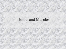 Joints and Muscles Joints (articulations) Where parts of skeleton meet  Allows varying amounts of mobility  Classified by structure or function  Arthrology: