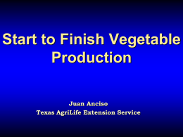 Start to Finish Vegetable Production Juan Anciso Texas AgriLife Extension Service Why Grow Vegetables?        Market What pesticides are applied.