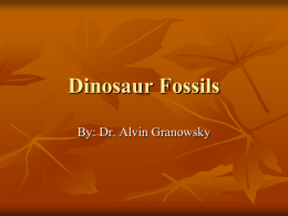 Dinosaur Fossils By: Dr. Alvin Granowsky fossils   Hardened remains of an animal or plant that lived long ago.    The fossil of the leaf imprint was found.