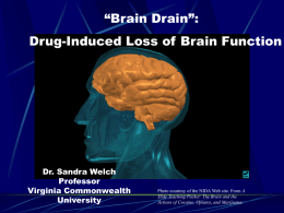 “Brain Drain”: Drug-Induced Loss of Brain Function  Dr. Sandra Welch Professor Virginia Commonwealth University  Photo courtesy of the NIDA Web site.