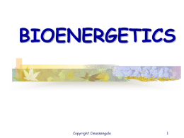 BIOENERGETICS  Copyright Cmassengale What is Bioenergetics? The study of energy in living systems (environments) and the organisms (plants and animals) that utilize them Copyright Cmassengale.