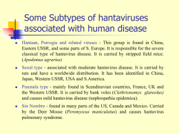 Some Subtypes of hantaviruses associated with human disease   Hantaan, Porrogia and related viruses - This group is found in China, Eastern USSR, and.
