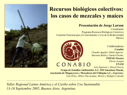 Recursos biológicos colectivos: los casos de mezcales y maíces Presentación de Jorge Larson Coordinador Programa Recursos Biológicos Colectivos Comisión Nacional para el Conocimiento y Uso.