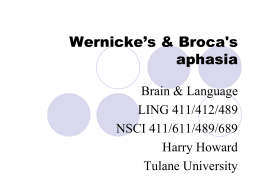 Wernicke’s & Broca's aphasia Brain & Language LING 411/412/489 NSCI 411/611/489/689 Harry Howard Tulane University Wernicke’s aphasia aka posterior aphasia aka receptive aphasia.