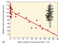 Relative width of annual rings (mm) 115105958575(a)  Mean number of cones per tree ( 102)
