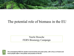 The potential role of biomass in the EU  Veerle Dossche FERN Bioenergy Campaign  The campaigning NGO for greater environmental and social justice, with.