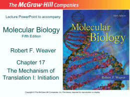 Lecture PowerPoint to accompany  Molecular Biology Fifth Edition  Robert F. Weaver Chapter 17 The Mechanism of Translation I: Initiation Copyright © The McGraw-Hill Companies, Inc.