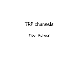 TRP channels Tibor Rohacs Calcium Three major compartments: • Intracellular: signaling ion, very low concentration (~ 100 nM) • Extracellular: ~2.5 mM total, ~1.25 mM ionized •