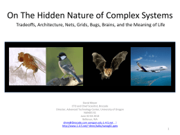 On The Hidden Nature of Complex Systems Tradeoffs, Architecture, Nets, Grids, Bugs, Brains, and the Meaning of Life  David Meyer CTO and Chief.