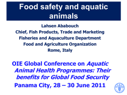 Food safety and aquatic animals Lahsen Ababouch Chief, Fish Products, Trade and Marketing Fisheries and Aquaculture Department Food and Agriculture Organization Rome, Italy  OIE Global Conference on.