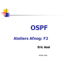 OSPF Ateliers Afnog: F2 Eric Assi AFNOG 2006 OSPF : Chapitre 1  INTRODUCTION AUX IGPs  AFNOG 2006