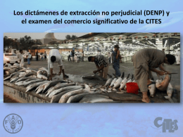 Los dictámenes de extracción no perjudicial (DENP) y el examen del comercio significativo de la CITES.