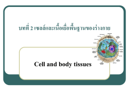 บทที่ 2 เซลล์ และเนือ้ เยือ่ พืน้ ฐานของร่ างกาย  Cell and body tissues.