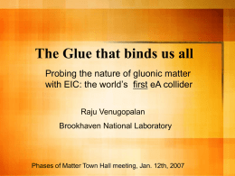 The Glue that binds us all Probing the nature of gluonic matter with EIC: the world’s first eA collider Raju Venugopalan Brookhaven National Laboratory  Phases.