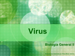 Virus Biología General II Presentación elaborada por: Rosa Alicia Jiménez Los virus son agentes infecciosos no asignados a ninguno de los seis reinos biológicos     Solamente.