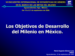VII ENCUENTRO INTERNACIONAL DE ESTADÍSTICAS DE GÉNERO EN EL MARCO DE LAS METAS DEL MILENIO Aguascalientes, Ags., México, Del 19 al 21 de.