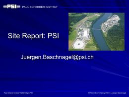 PAUL SCHERRER INSTITUT  Site Report: PSI Juergen.Baschnagel@psi.ch  Paul Scherrer Institut • 5232 Villigen PSI  HEPIX_Edinb /   / Juergen Baschnagel.