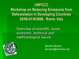 UNFCCC Workshop on Reducing Emissions from Deforestation in Developing Countries 30/08-01/9/2006, Rome, Italy Overview of scientific, socioeconomic, technical and methodological issues Sandra Brown sbrown@winrock.org.