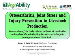 Osteoarthritis, Joint Stress and Injury Prevention in Livestock Production An overview of the tasks related to livestock production and to show the relationship between.