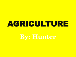 AGRICULTURE By: Hunter What is Agriculture?? • Agriculture is also called farming is the cultivation of animals, plants, and other life forms for food,
