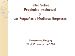 Taller Sobre Propiedad Intelectual y Las Pequeñas y Medianas Empresas  Montevideo, Uruguay 26 al 30 de mayo de 2008