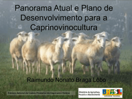 Panorama Atual e Plano de Desenvolvimento para a Caprinovinocultura  Raimundo Nonato Braga Lôbo Câmara Setorial da Cadeia Produtiva de Caprinos e Ovinos.