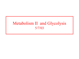 Metabolism II and Glycolysis 5/7/03 Organic reaction mechanisms Much can be learned by studying organic model reactions when compared to enzyme catalyzed reactions. 1.