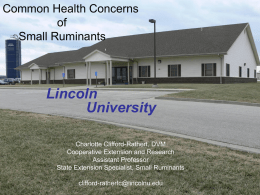 Common Health Concerns of Small Ruminants  Lincoln University Charlotte Clifford-Rathert, DVM Cooperative Extension and Research Assistant Professor State Extension Specialist, Small Ruminants clifford-rathertc@lincolnu.edu.