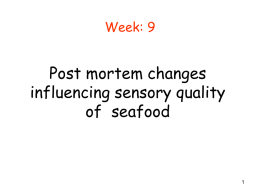 Week: 9  Post mortem changes influencing sensory quality of seafood Content • • • • • • •  How fish goes bad Factors influencing freshness Rigor mortis Autolytic changes Bacterial changes Chemical changes Histamine.