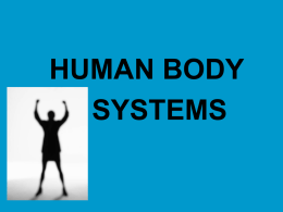 HUMAN BODY SYSTEMS •Why are my body systems like a set of dominos? • THE HUMAN BODY SYSTEMS ALL RELY ON ONE ANOTHER. WHEN ONE SYSTEM IS DOWN.