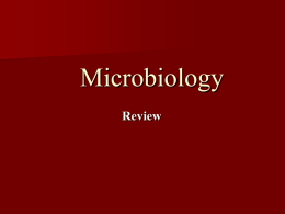 Microbiology Review Introduction to Microbiology   Microbiology: The study of microscopic life (>1mm)    Microbes (Micro-organisms): simple life form, usually single celled, that can not be.