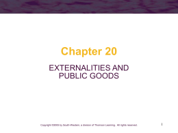 Chapter 20 EXTERNALITIES AND PUBLIC GOODS  Copyright ©2005 by South-Western, a division of Thomson Learning.