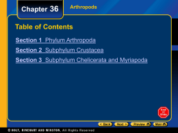 Chapter 36  Arthropods  Table of Contents Section 1 Phylum Arthropoda Section 2 Subphylum Crustacea Section 3 Subphylum Chelicerata and Myriapoda.