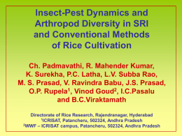 Insect-Pest Dynamics and Arthropod Diversity in SRI and Conventional Methods of Rice Cultivation Ch.