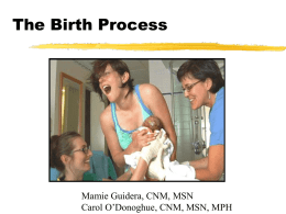 The Birth Process  Mamie Guidera, CNM, MSN Carol O’Donoghue, CNM, MSN, MPH.