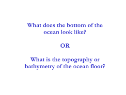 What does the bottom of the ocean look like? OR  What is the topography or bathymetry of the ocean floor?