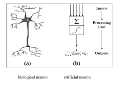 biological neuron  artificial neuron A two-layer neural network Output layer (activation represents classification)  Hidden layer (“internal representation”) Input layer (activations represent feature vector for one training example)  Weighted connections.